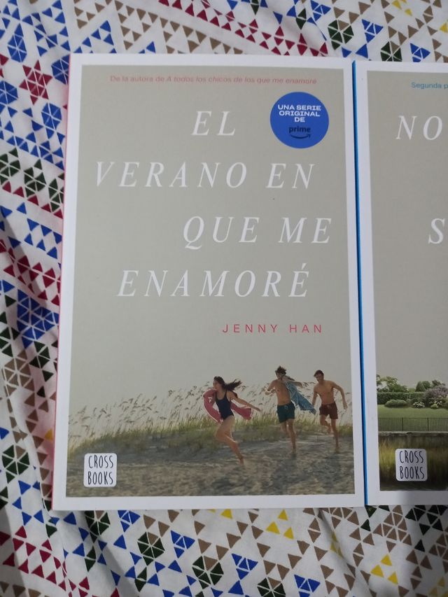 Lote no hay verano sin ti y el verano en el que me