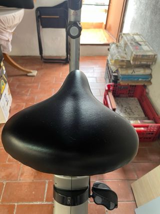 Bicicleta Estática BH Fitness