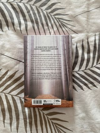 El día que se perdió el amor