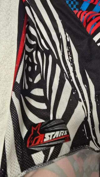 Equipación Enduro Alpinestars Techstar