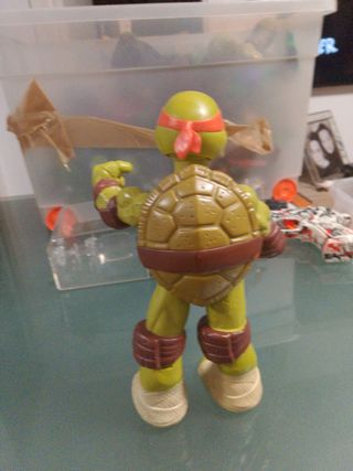 Tortuga Ninja Grande
