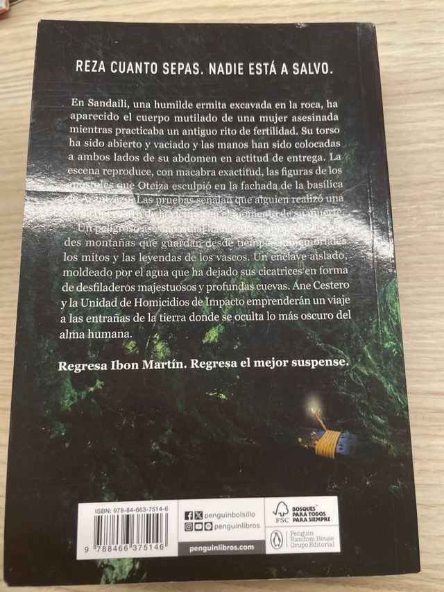 El ladrón de rostros (Inspectora Ane Cestero 3)...