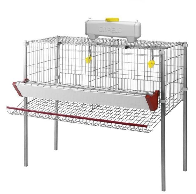 Jaula para 10 gallinas