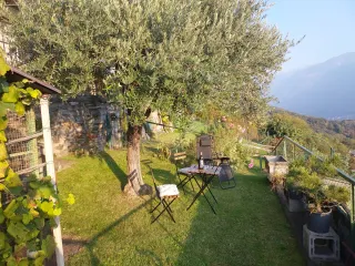 Casa Vacanze La Pergola