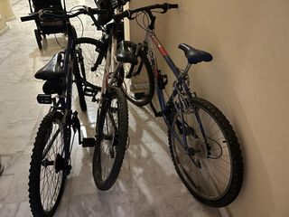 Lote 3 Bicicletas Montaña