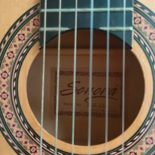 Guitarra española con funda