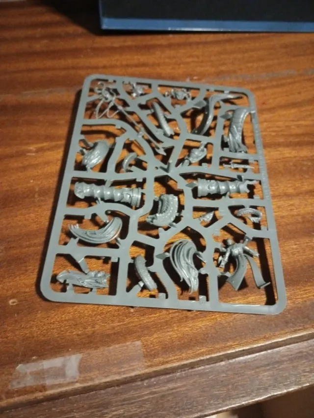 Medusa Daughters of Khaine melusai