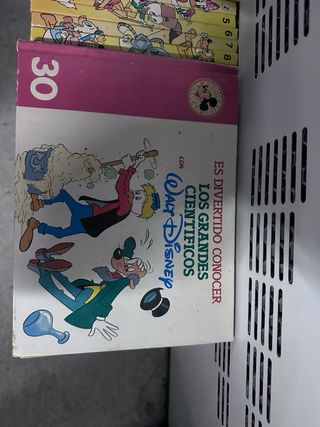 Es divertido conocer con Walt Disney