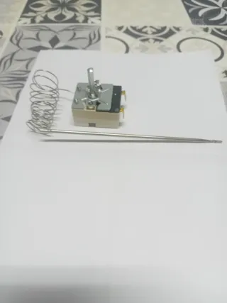 Termostato Horno Eléctrico con Sonda