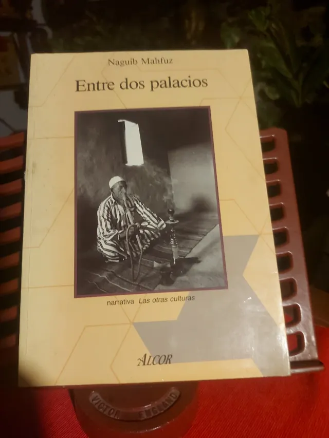 Cometas en el cielo entre dos palacios pañuelo tur