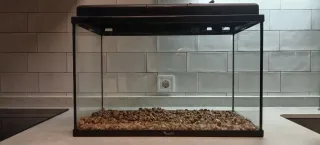 Acuario Aquatlantis 54x40x30 + filtro y bomba aire