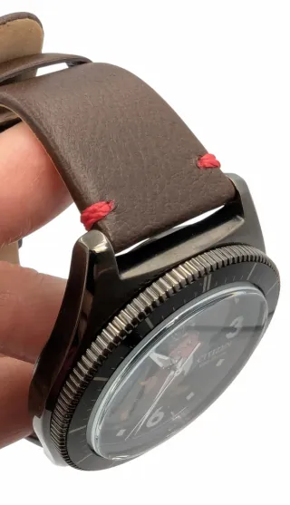 RELOJ CITIZEN ECO DRIVE DISNEY PARKS GRUMPY NUEVO 