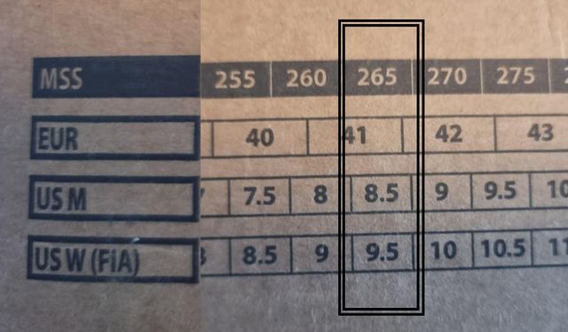 Botas de esquí Rossignol RBI2110 Talla 41