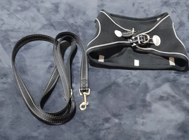 Arnés y Correa para Mascotas Negro