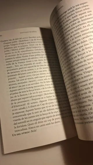 L'alegria que passa. El jardí abandonat