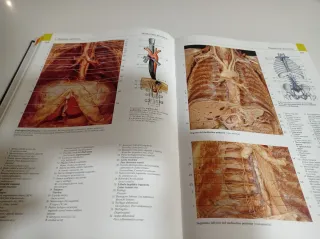 YOKOCHI. Libro de anatomía humana.