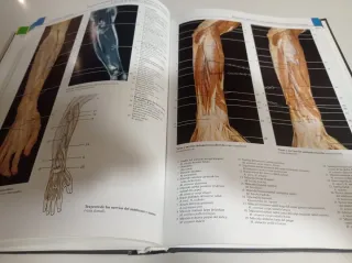 YOKOCHI. Libro de anatomía humana.