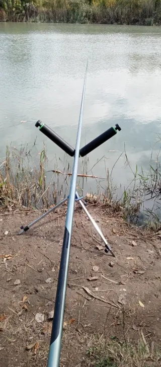 Caña pesca coup Shimano 7m