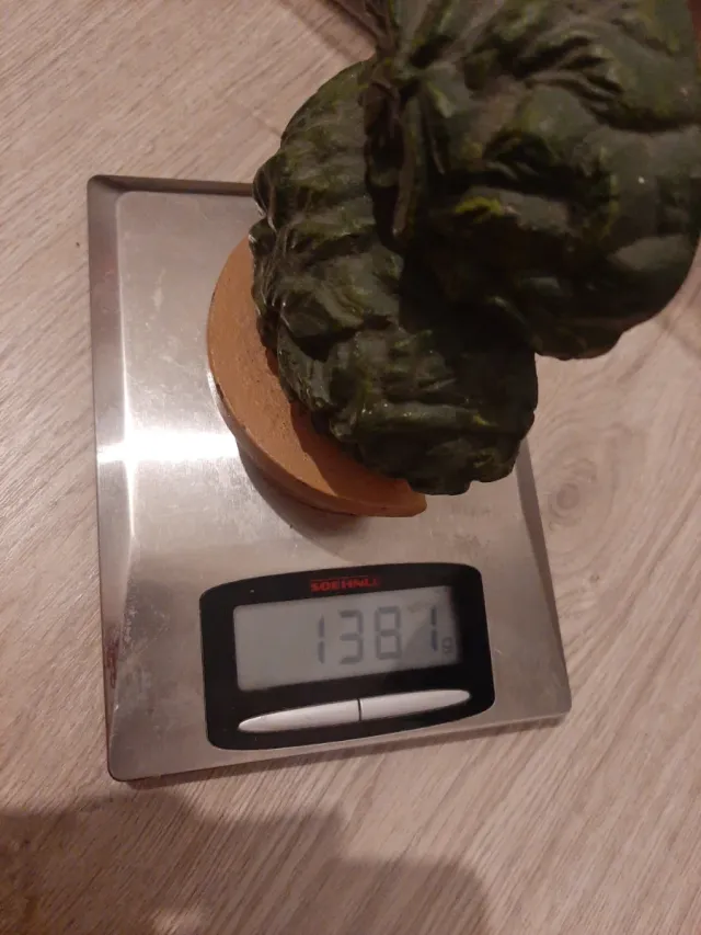 Sujeta puertas hierro fundido