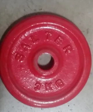 Barra de gimnasio con discos y cierres