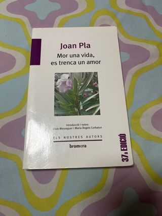 Mor una vida, es trenca un amor