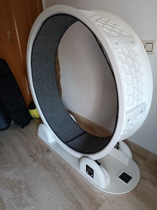 Rueda Ejercicio Gatos Antideslizante