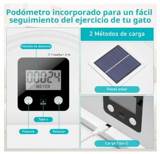 Rueda Ejercicio Gatos Antideslizante