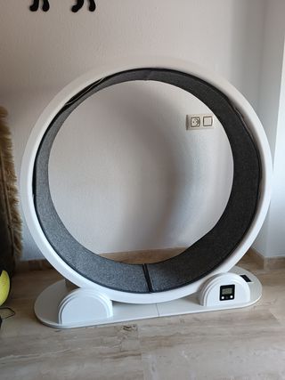 Rueda Ejercicio Gatos Antideslizante