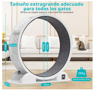 Rueda Ejercicio Gatos Antideslizante