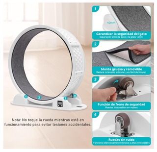 Rueda Ejercicio Gatos Antideslizante