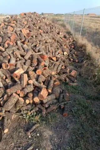 Leña de encina para chimenea 500kilos 130€