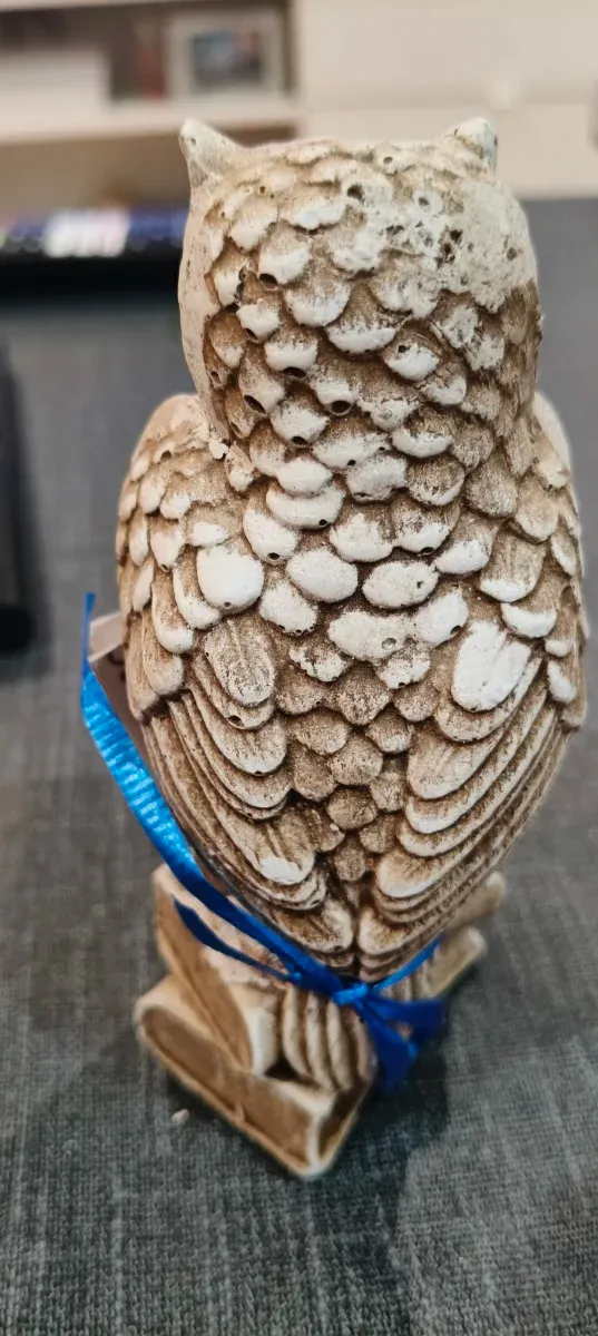 Figura búho con billete 500€ y libros