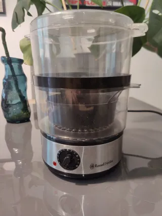 Vaporera Russell Hobbs 14453