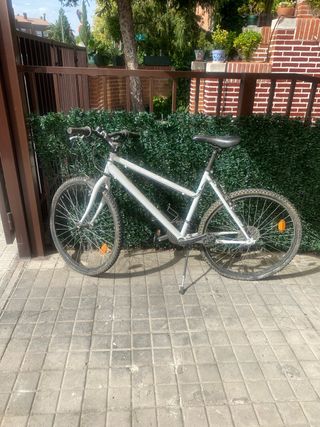 Bicicleta Blanca
