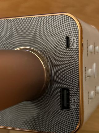 Micrófono Karaoke Dorado y Rosa