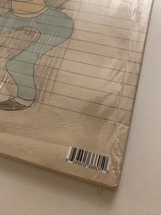 Sufjan Stevens The Avalanche Vinili Colorati