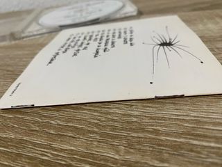 CD Fran Perea - Punto y Aparte