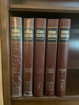 Diccionario Enciclopédico Bruguera