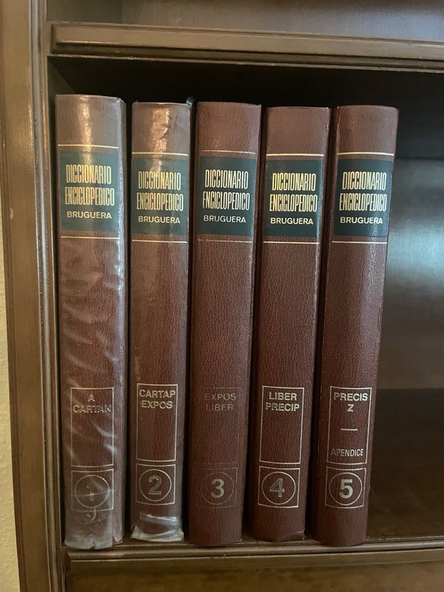 Diccionario Enciclopédico Bruguera