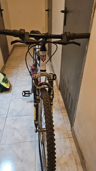 Bicicleta de montaña