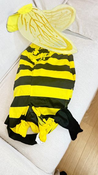 Disfraz payaso , calabaza , dori preguntar precio