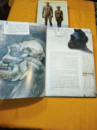 La saga Humana // Ser y Conducta del Hombre