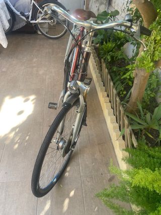 Bicicleta de paseo