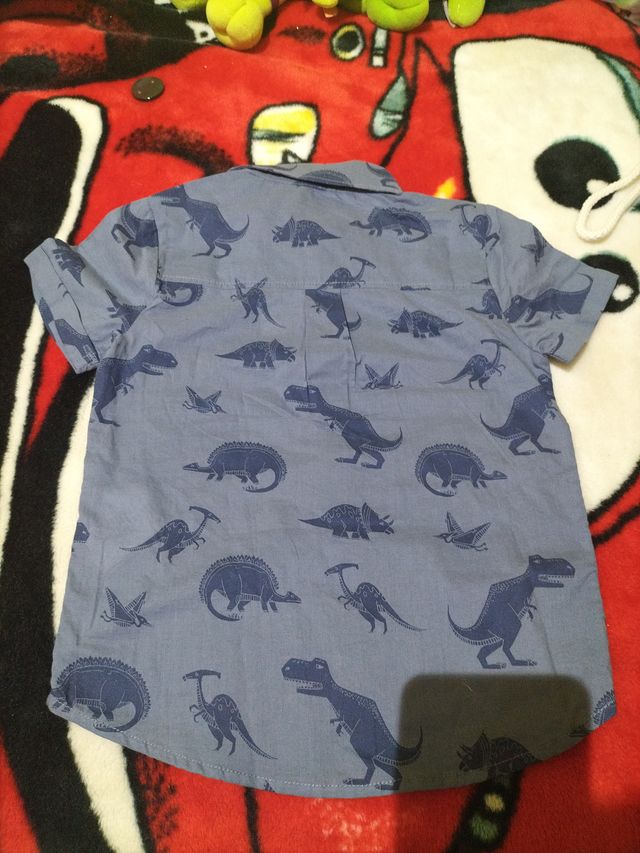 Camisa niño dinosaurios Talla 5