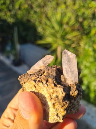 Minerali Collezione Quarzo Cristalli Scettro