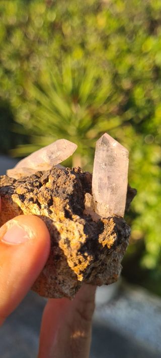 Minerali Collezione Quarzo Cristalli Scettro