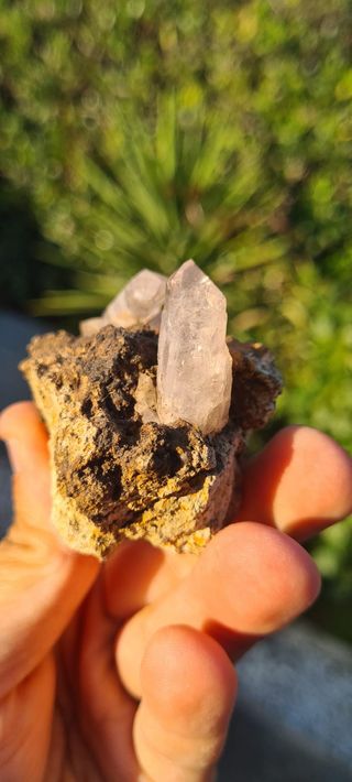 Minerali Collezione Quarzo Cristalli Scettro