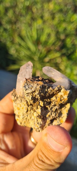 Minerali Collezione Quarzo Cristalli Scettro