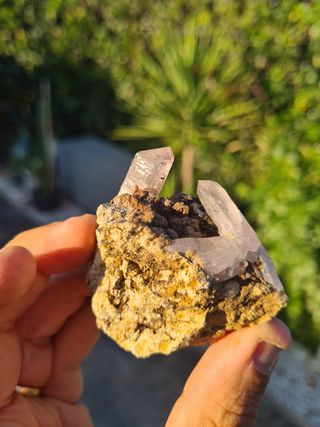 Minerali Collezione Quarzo Cristalli Scettro