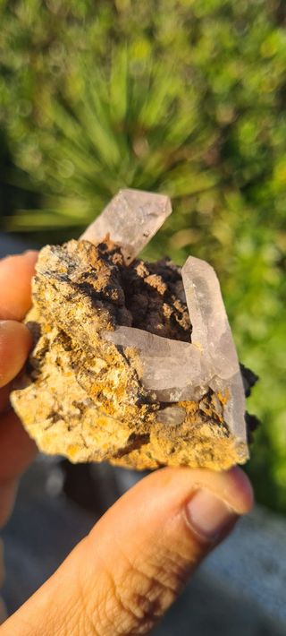 Minerali Collezione Quarzo Cristalli Scettro